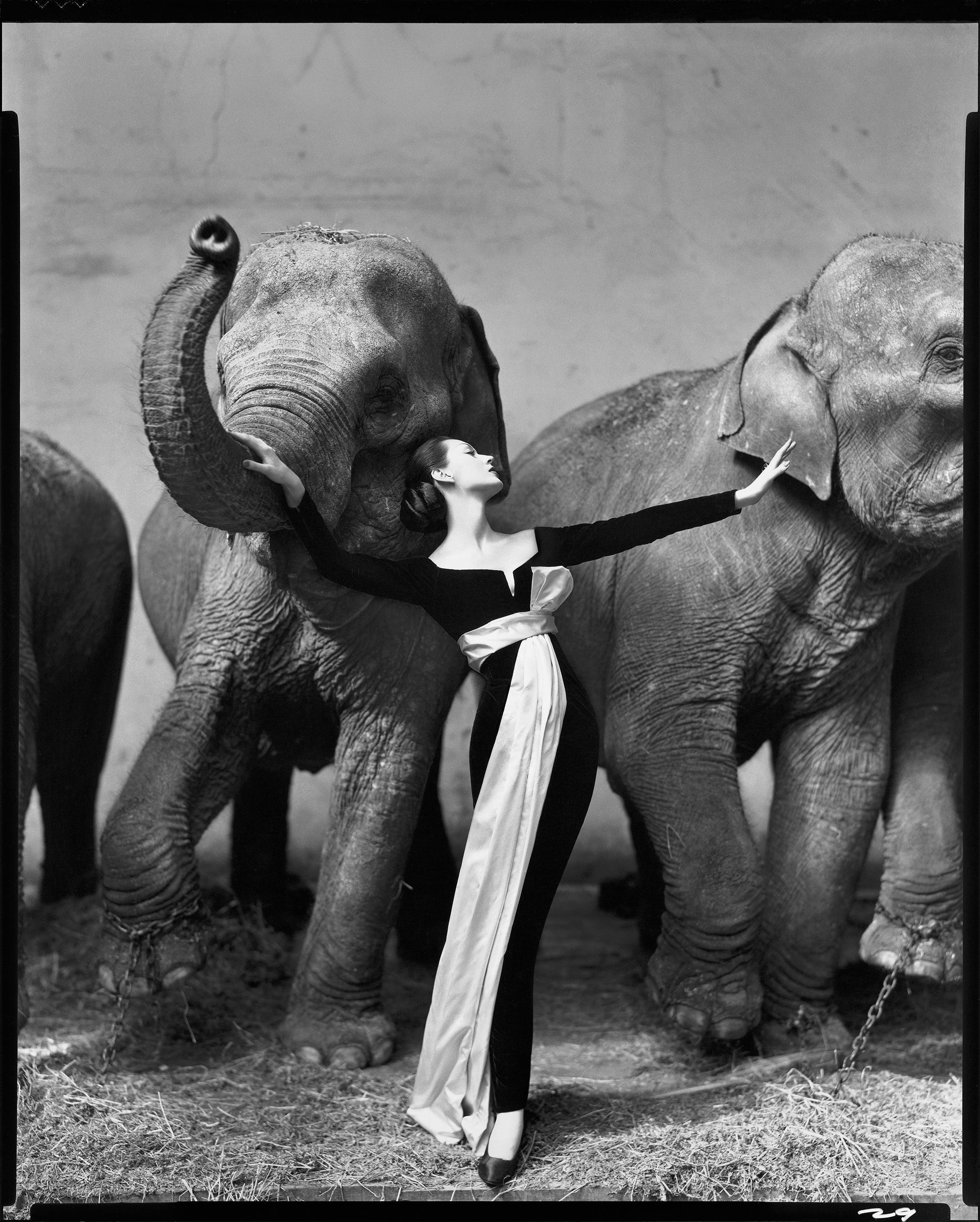 Harper\u0027s BAZAAR Photographs From 1950s , Richard Avedon